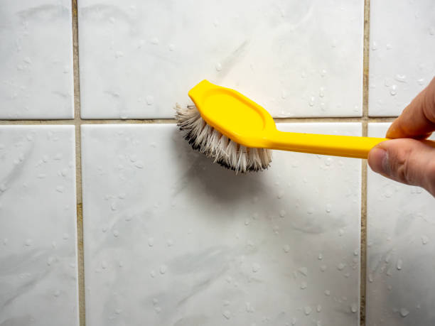 Best Attic Mold Removal  in Mante, CA