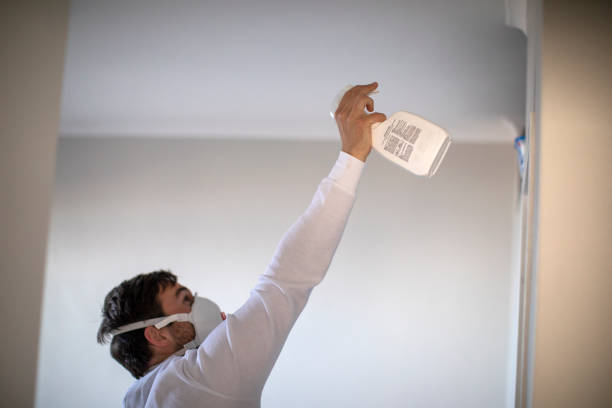 Best Mold Remediation  in Mante, CA