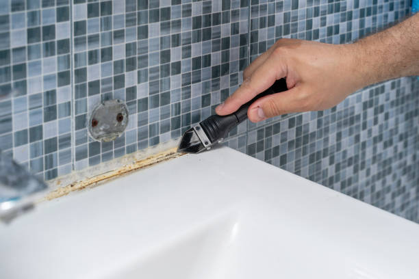 Best Mold Removal Process  in Mante, CA