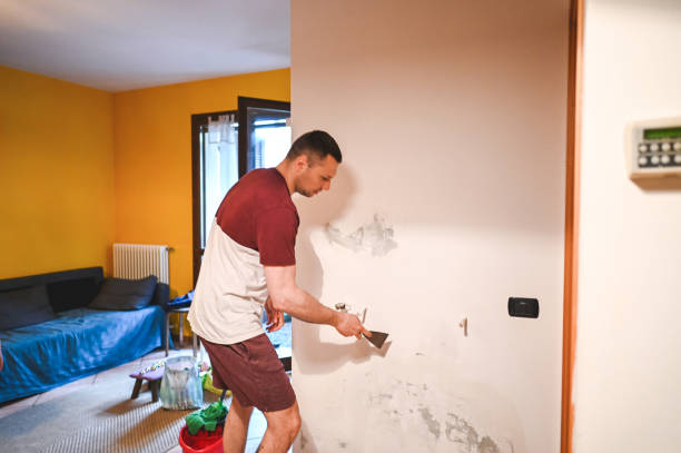 Best Mold Cleaning Services  in Mante, CA