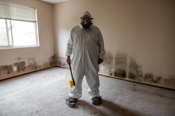 Reliable Manteca, CA Mold Removal Solutions